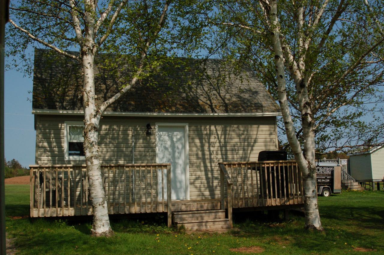 North Rustico Bed And Breakfast Dış mekan fotoğraf